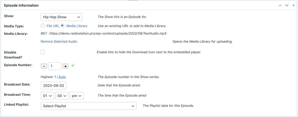 Image of the Episodes post type panel in Radio Station Pro for WordPress.